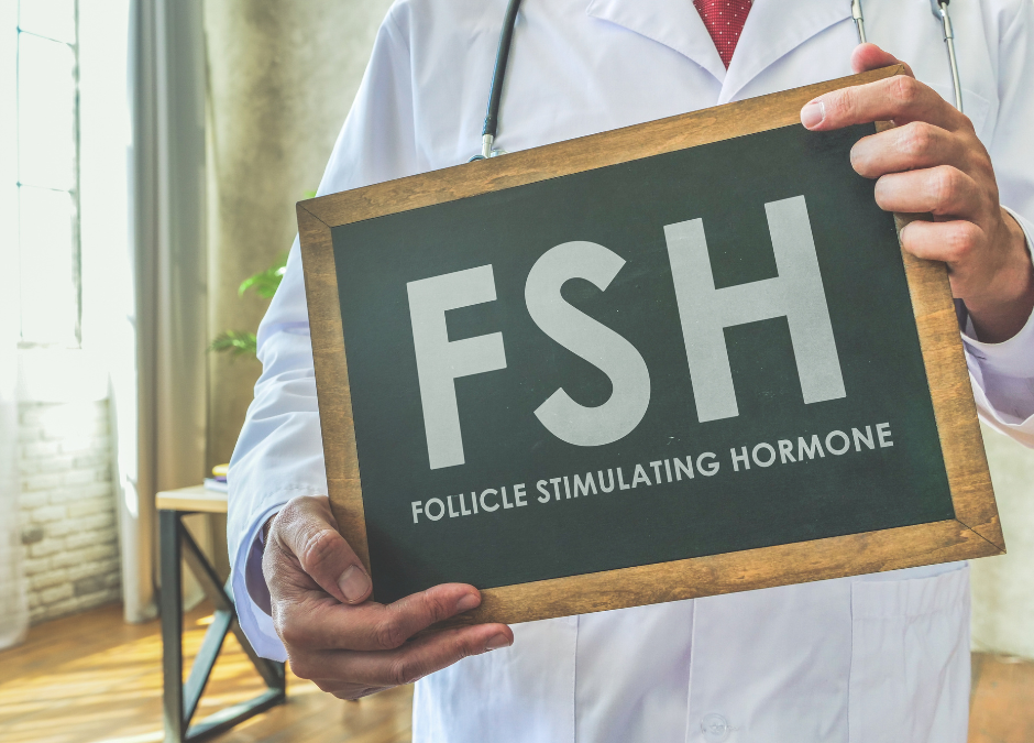 WTF is FSH?